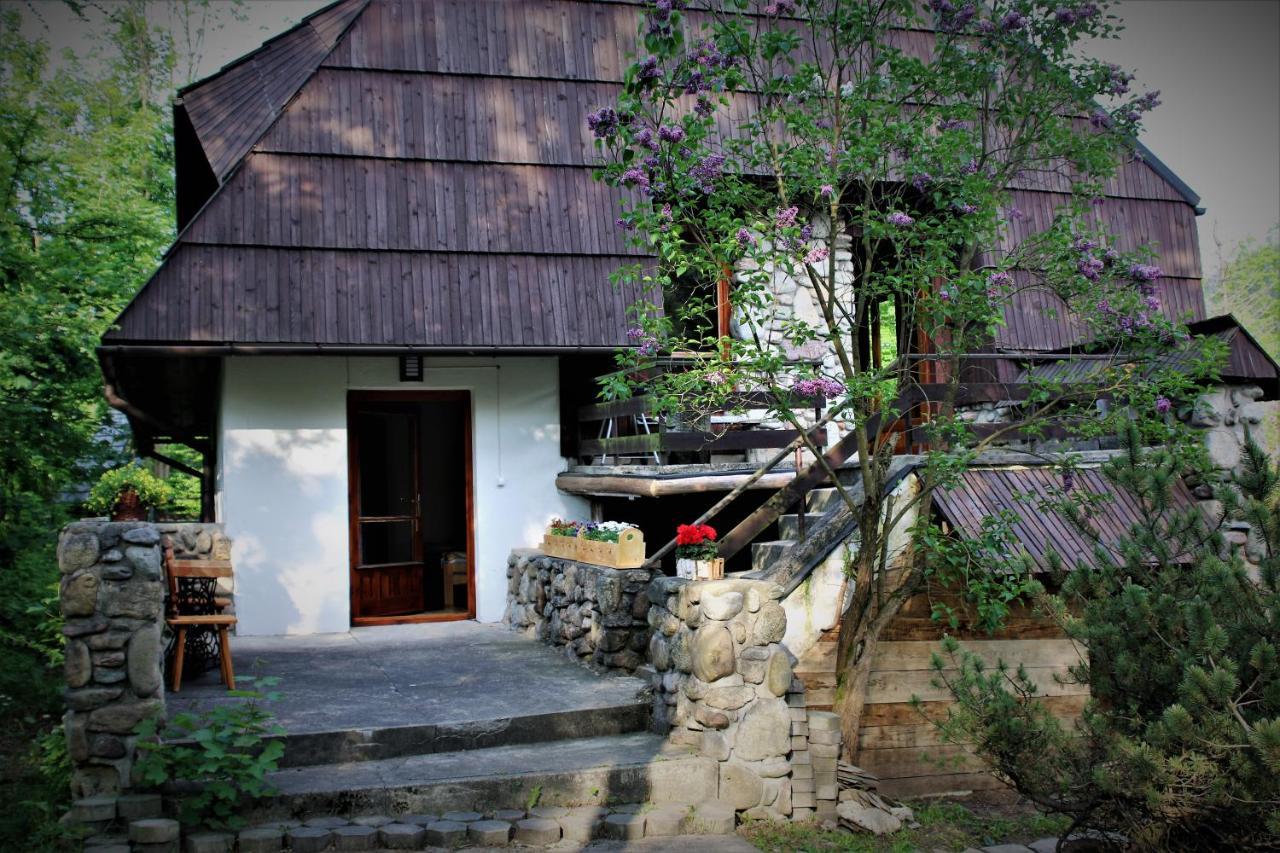 Willa Gawra - Zakopane — Photos 2